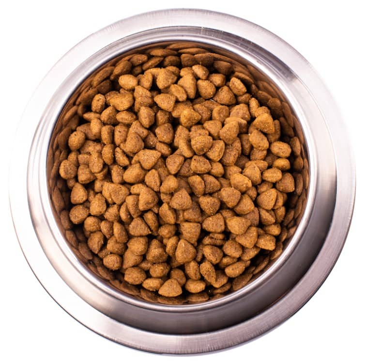 Диетическое питание для собак Monge VetSolution Hepatic Dog