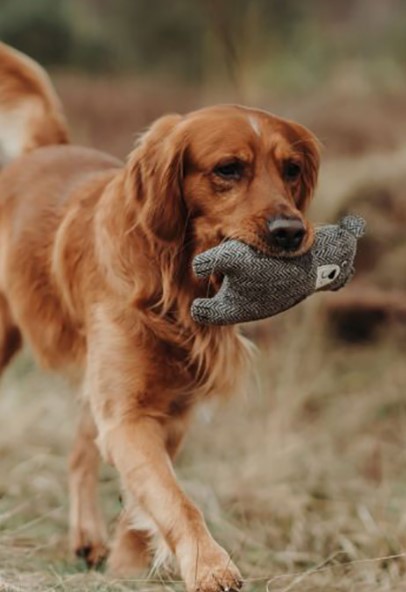 HUNTER Игрушка для собак Billund Bear серый
