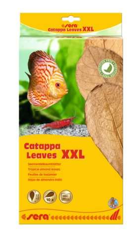 Листья индийского миндаля SERA Catappa Leave 10 шт
