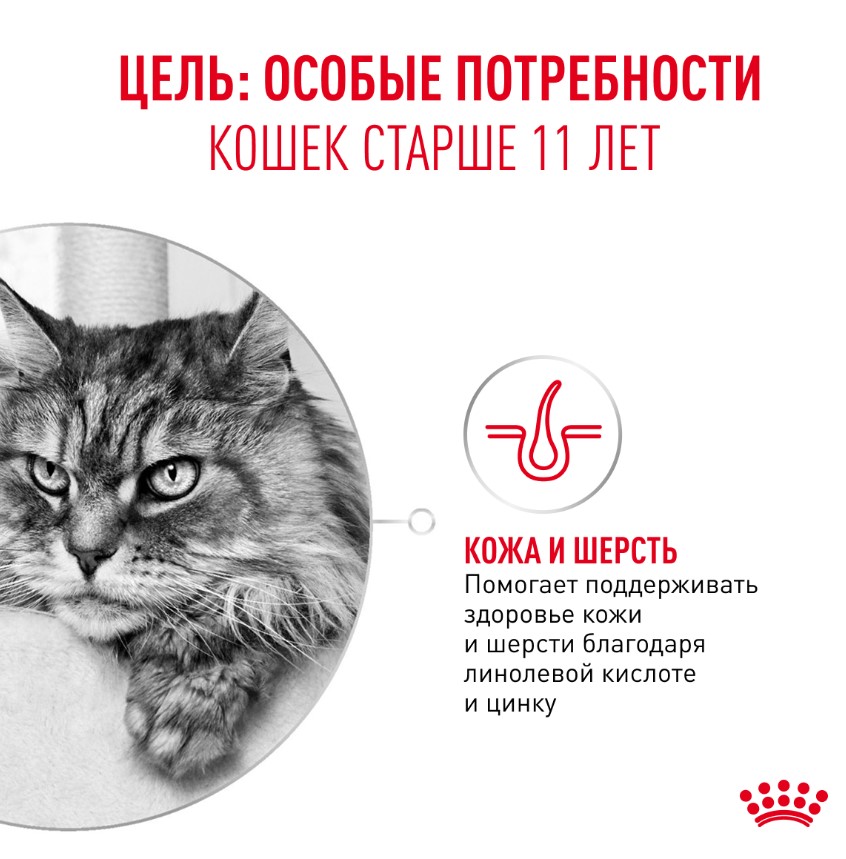 Влажный корм для пожилых кошек Royal Canin Ageing 11+ (кусочки в соусе)