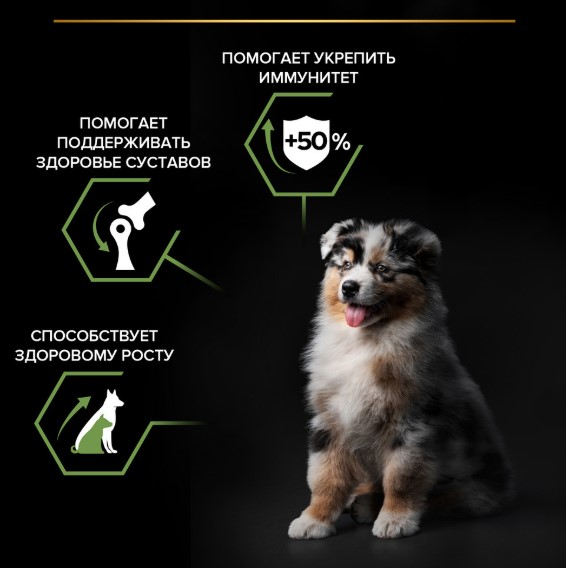 Каталог Сухой корм для щенков средних пород Pro Plan HEALTHY START Medium Puppy (курица) для собак