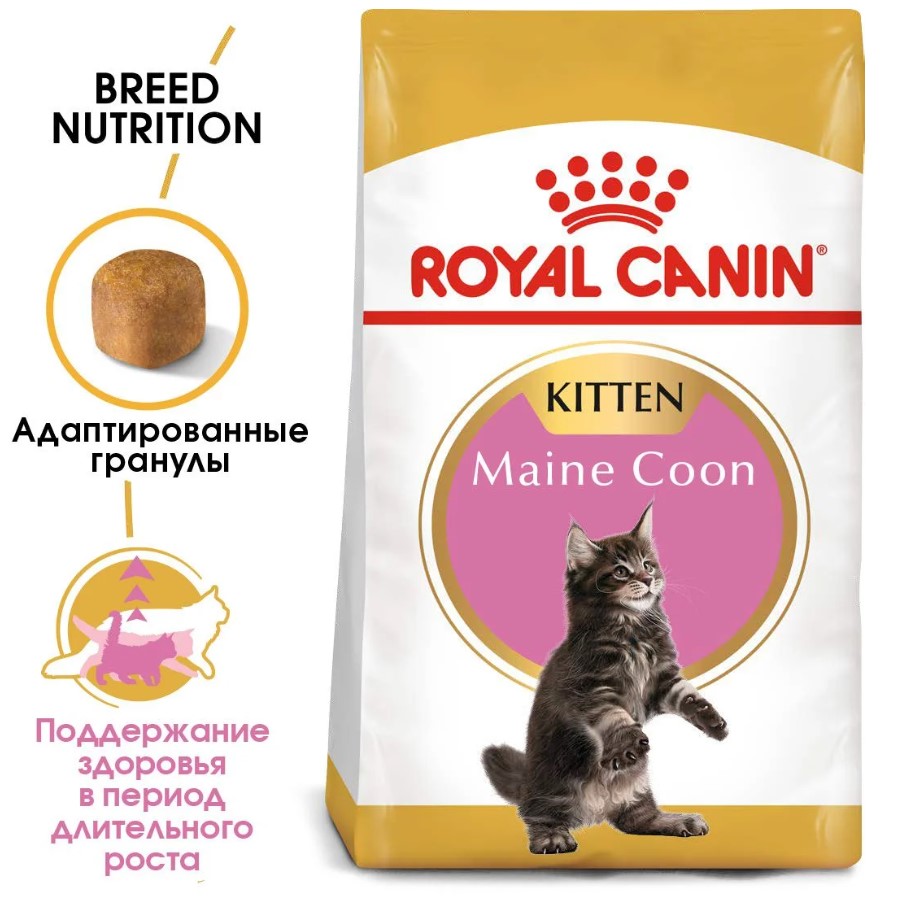 Сухой корм для котят Royal Canin Maine Coon Kitten
