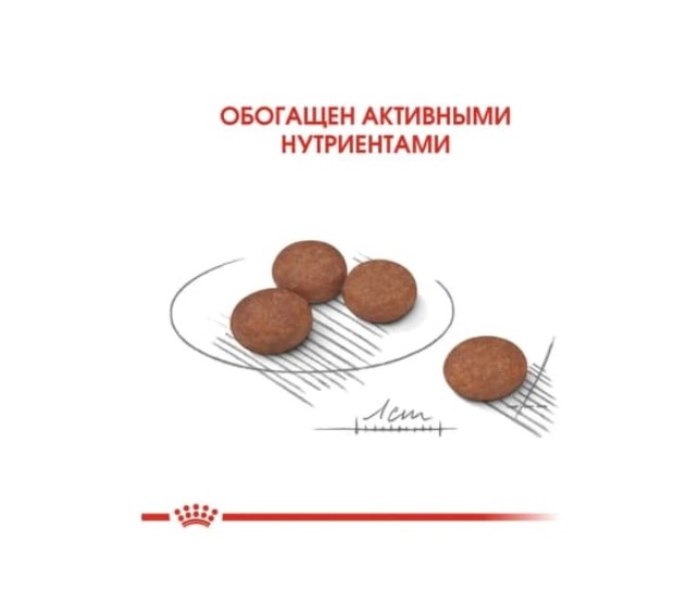 Каталог Сухой корм для собак Royal Canin Mini Digestive Care для собак