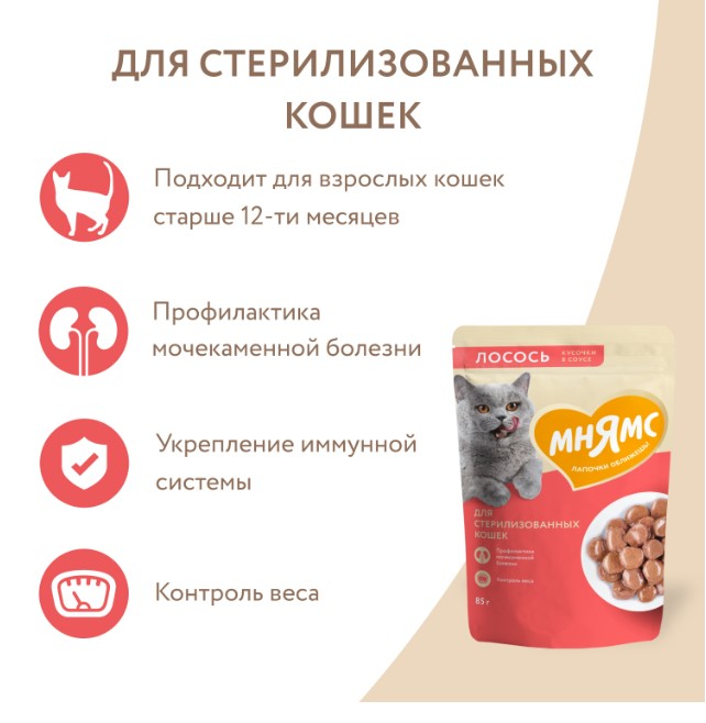 Влажный корм Мнямс Кусочки в соусе с лососем для стерилизованных кошек