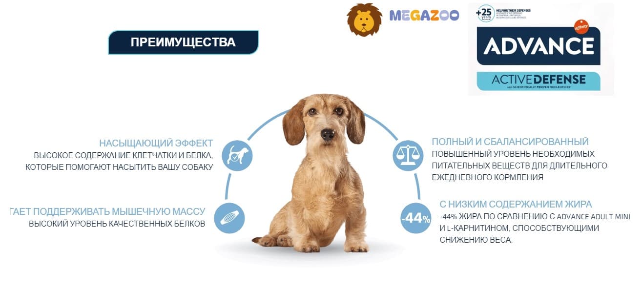 Еда для маленьких собак Сухой корм для собак Advance Dog Light Mini (курица)