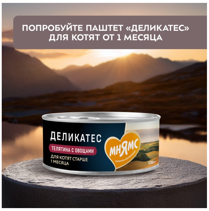Влажный корм для котят старше 3 месяцев Мнямс Деликатес Куриное филе с козьим молоком в соусе 