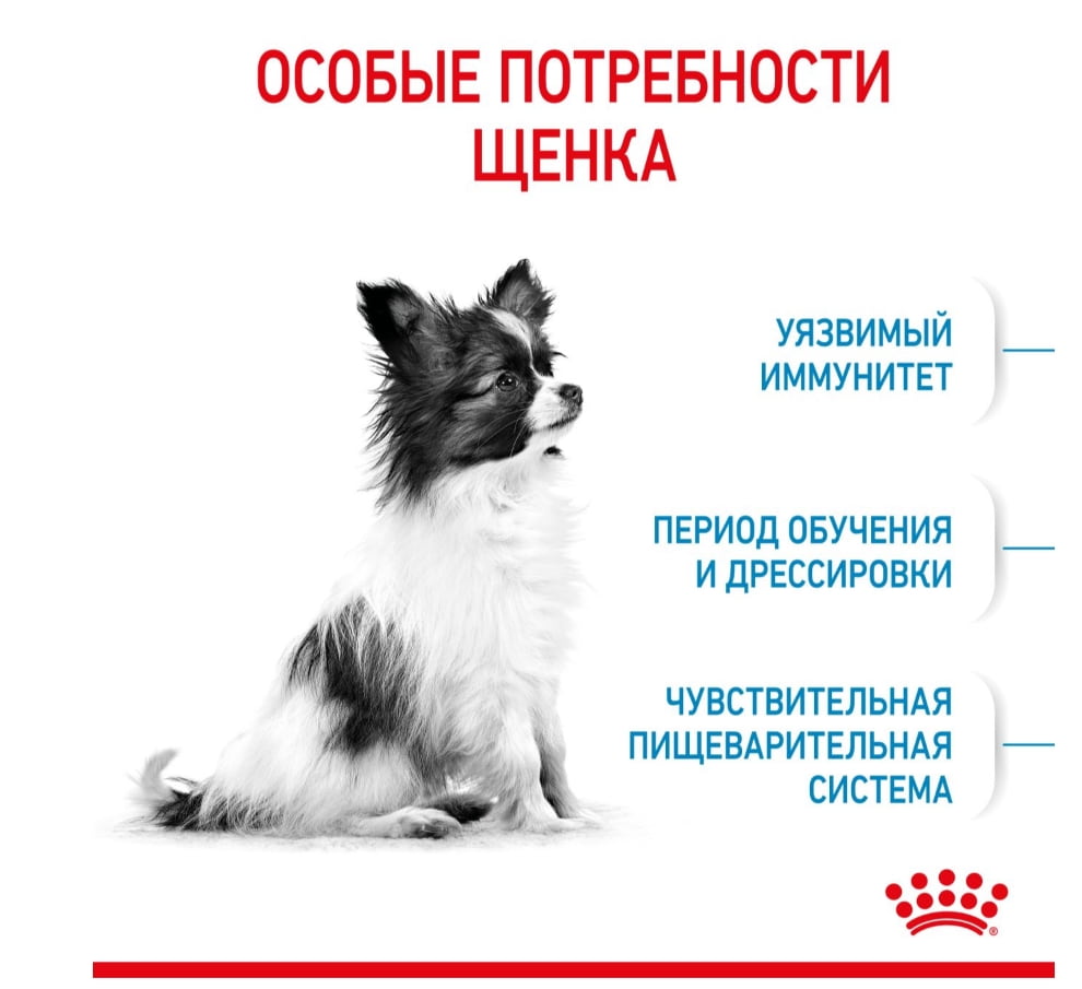 Каталог Сухой корм для щенков Royal Canin X-Small Puppy для собак