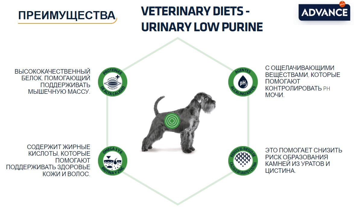 Сухой корм для собак Advance Veterinary Diets Dog Urinary Low Purine