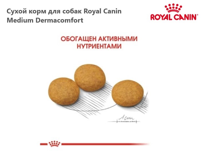 Каталог Сухой корм для собак Royal Canin Medium Dermacomfort для собак