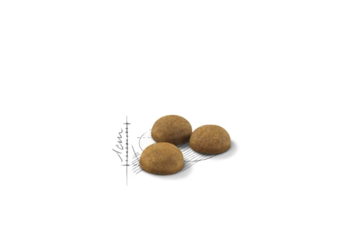 Сухой корм для кошек Royal Canin Indoor Long Hair