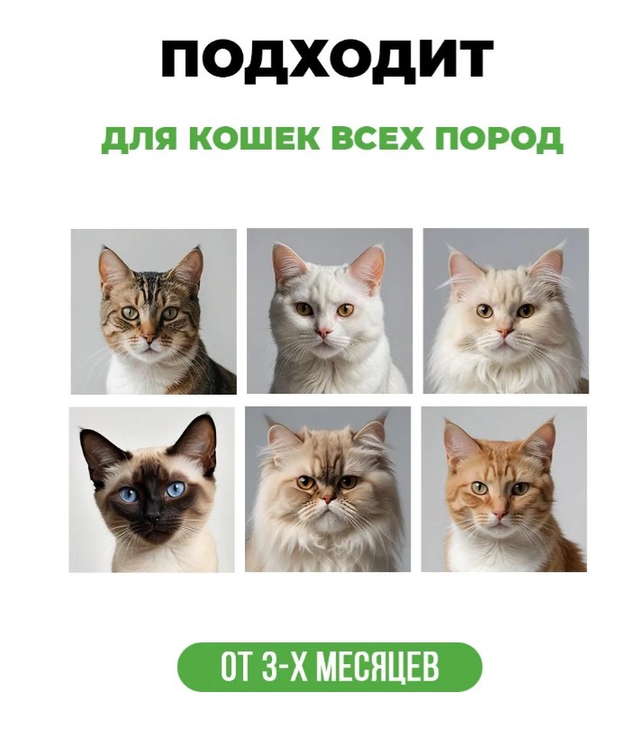Шампунь для кошек с пантенолом "Spets" для кошек