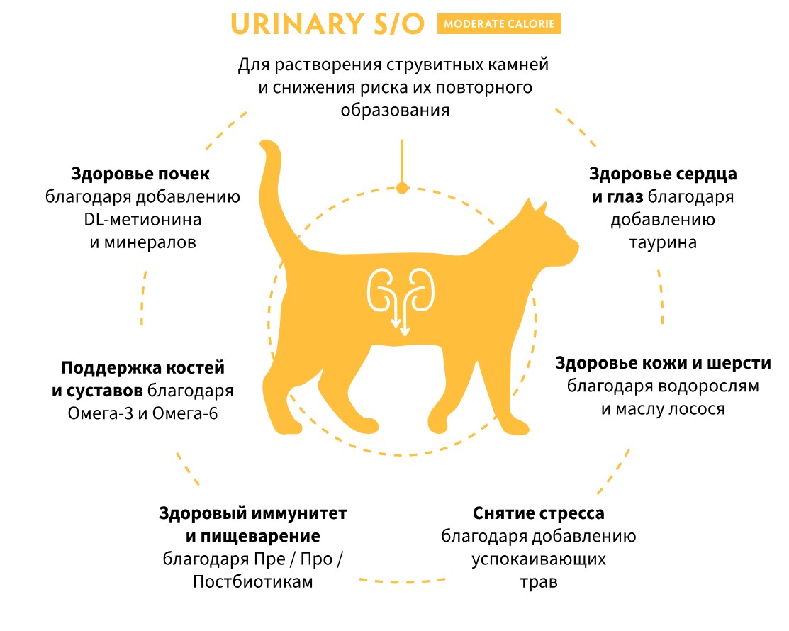 Сухой корм для кошек Grandorf Vet Cat Urinary S/O Moderate Calorie (индейка)