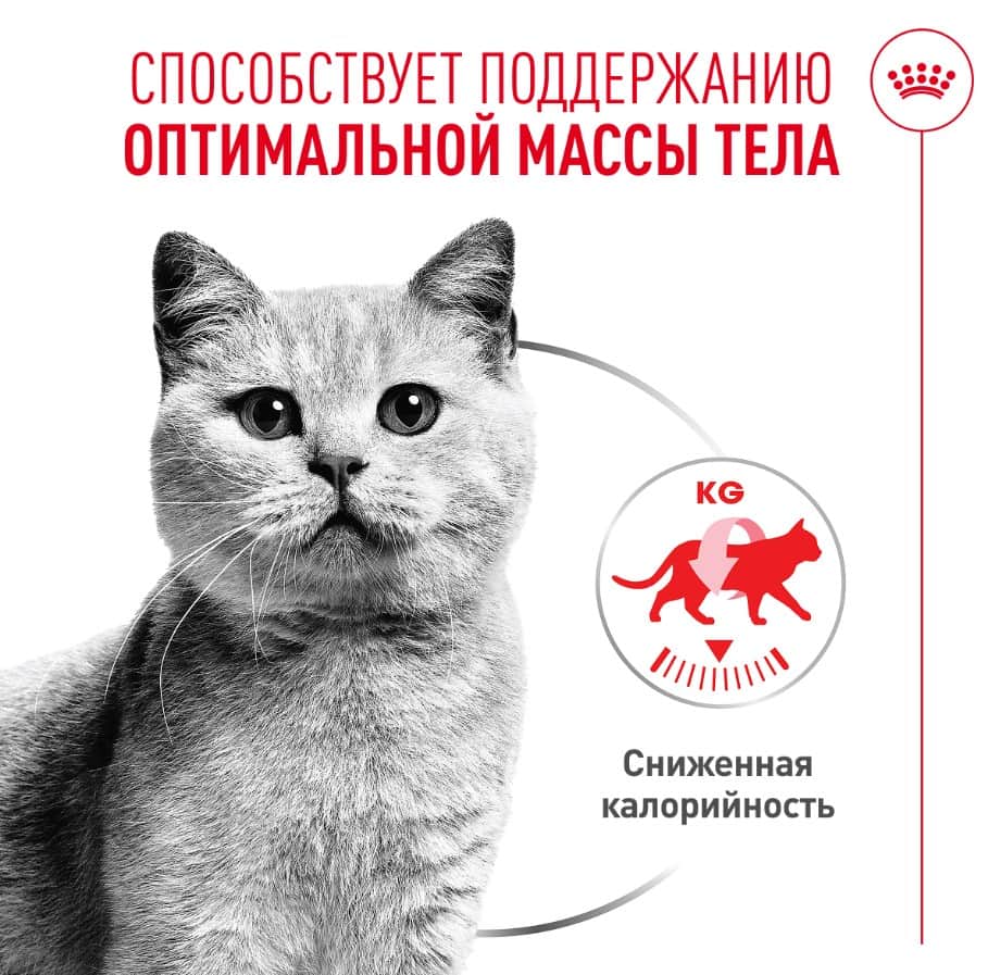 Влажный корм для кошек Royal Canin Light Weight Care AirLift мусс