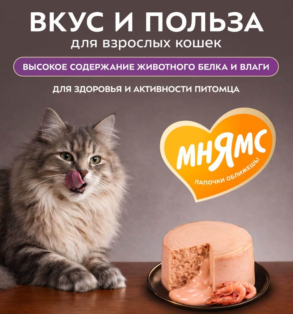 Влажный корм для кошек Мнямс Деликатес Фондан Adult Cat (курица, масло криля)