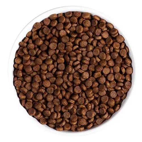 Пища для стерилизованных кошек Ambrosia Grain Free Sterilized Cat (курица, лосось)
