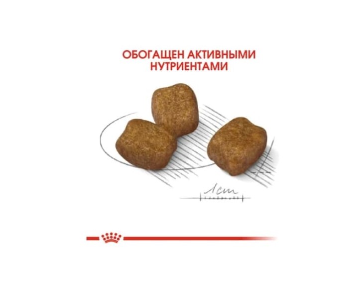 Еда для собак Сухой корм для собак Royal Canin Mini Dental