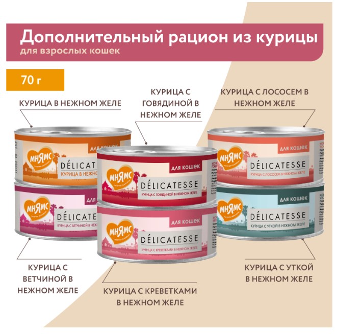 Влажный дополнительный корм Мнямс для кошек Тунец с макрелью в нежном желе