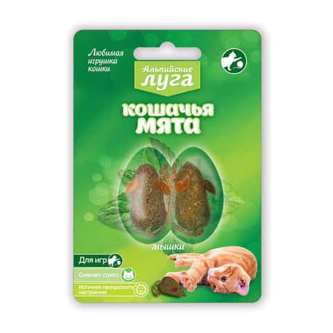 Кошачья мята Альпийские Луга (мышки)