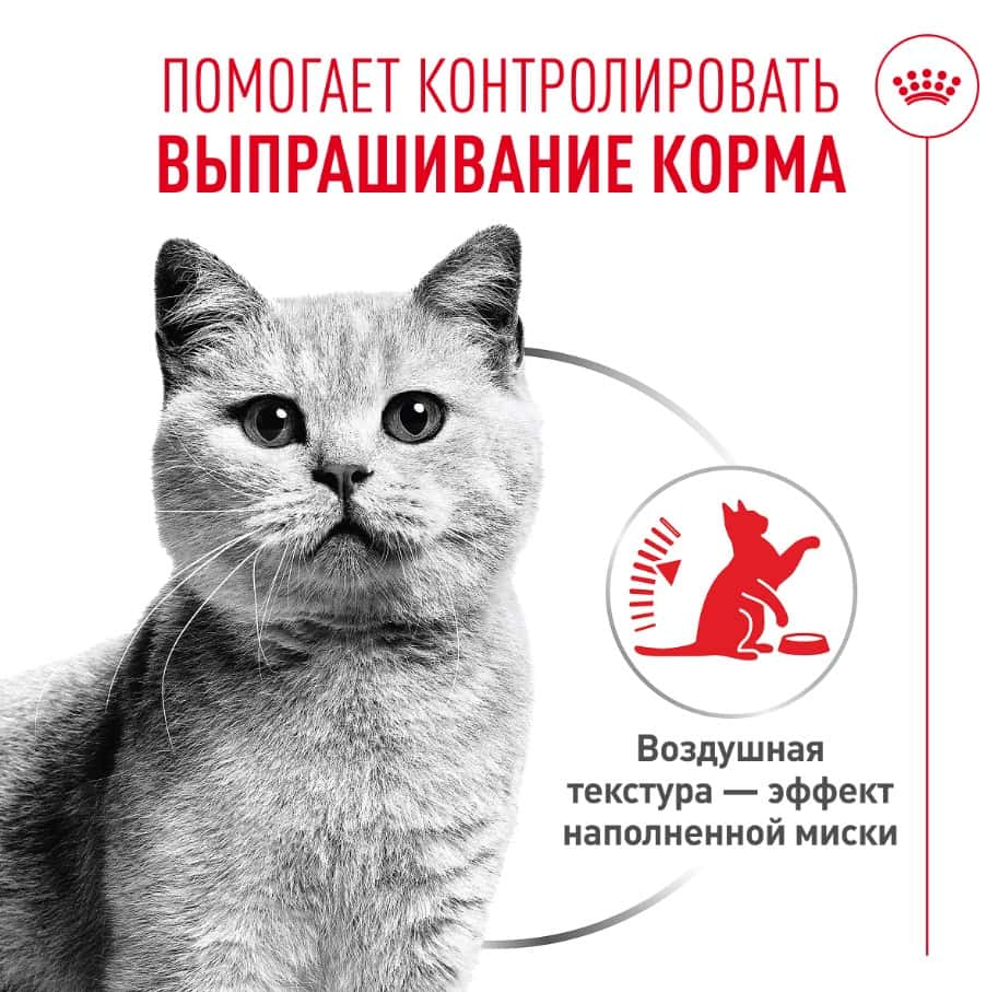Влажный корм для кошек Royal Canin Appetite Control Care AirLift мусс