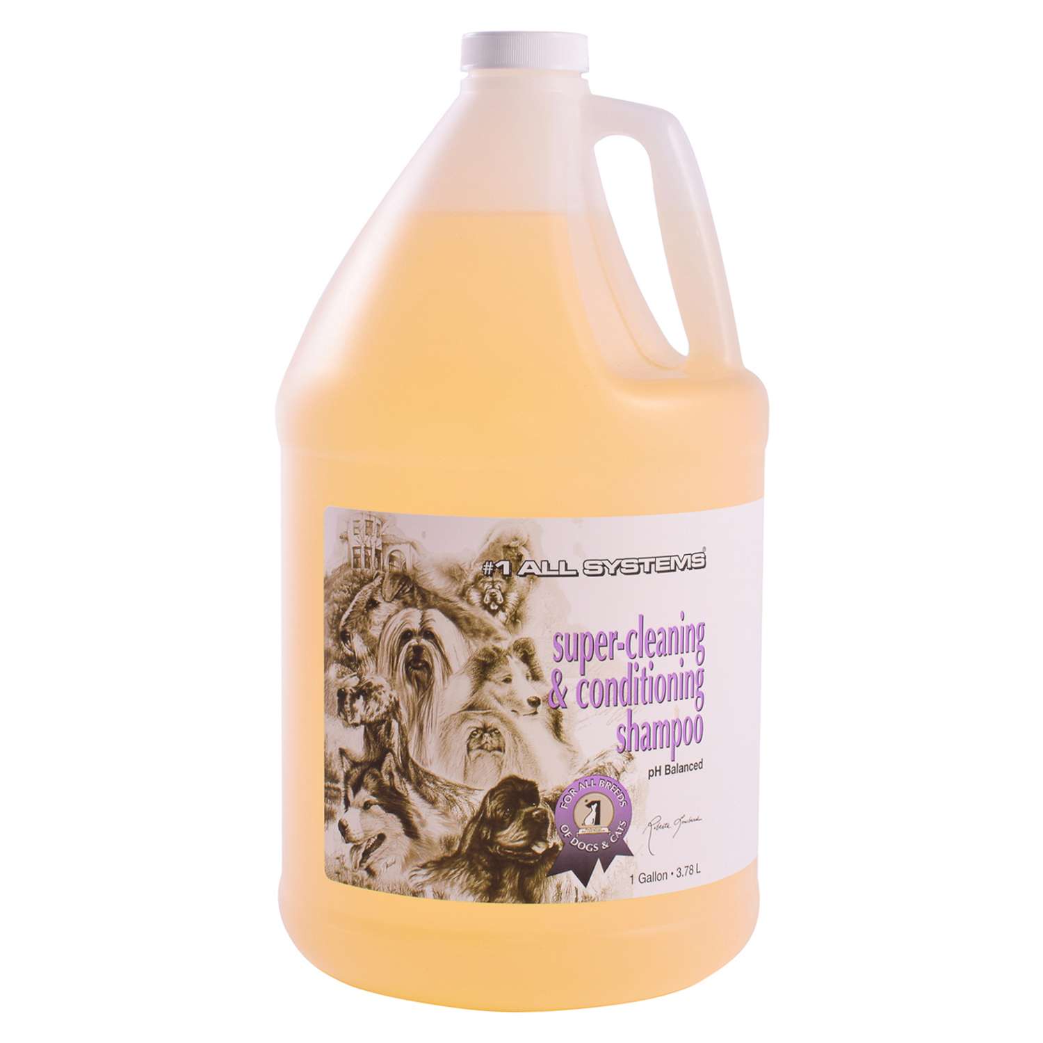 1 All Systems Super-Cleaning&Conditioning Shampoo шампунь суперочищающий