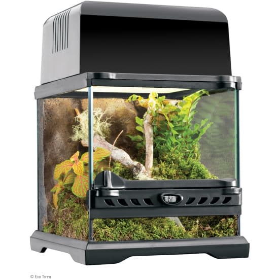 Террариум из силикатного стекла EXO TERRA PT2599 20х20х20 см (H225991)