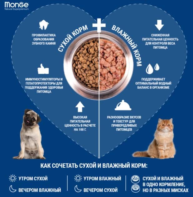 Влажное питание для кошек Monge Cat Grill Sterilised (телятина)