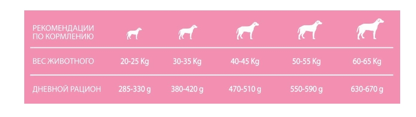 Питание для крупных пород собак Сухой корм для собак Forma 360 Dog Adult Large (ягненок, рис)
