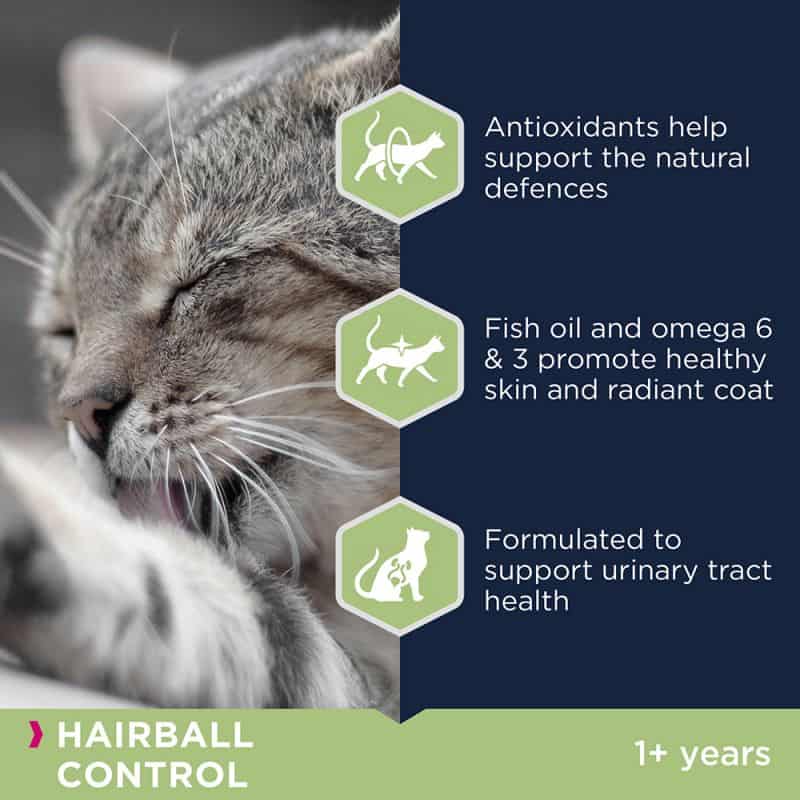 Сухой корм для кошек Eukanuba Cat Adult Hairball (курица)