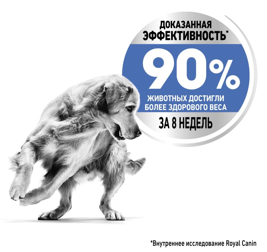 Каталог Сухой корм для собак Royal Canin Maxi Light Weight Care для собак