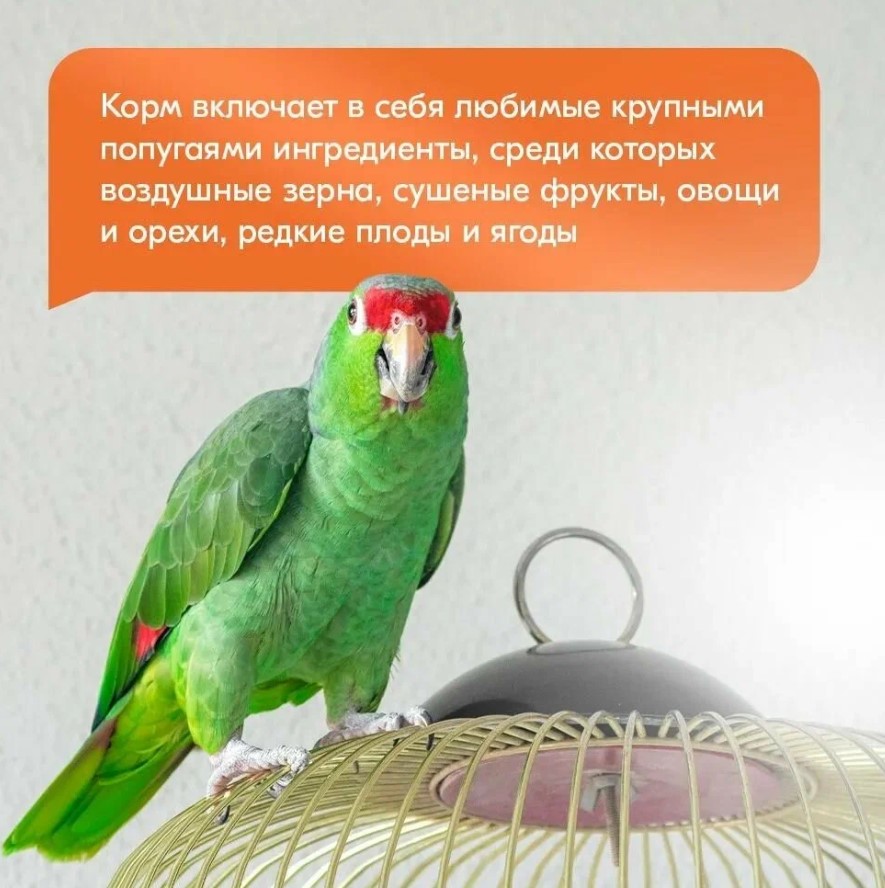 Корм для крупных попугаев RIO