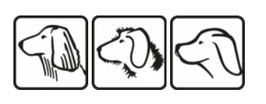 tiangroup.by_show.html_24155 - Google Chrome 2019-09-01 14.40.17.png