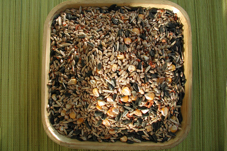 korm-dlya-ptic670.jpg