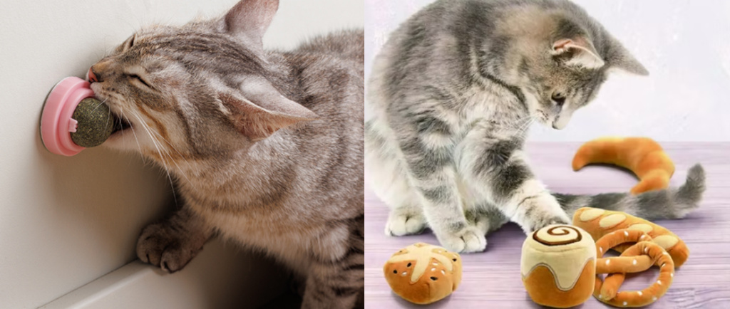 с чем любят играть кошки