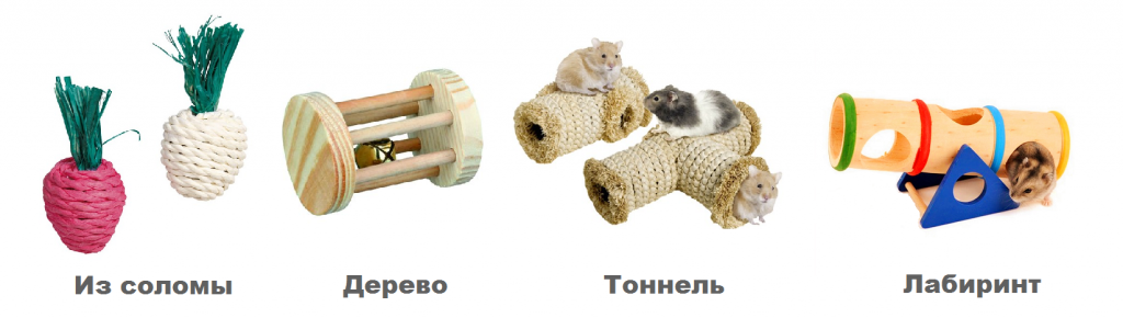 фото игрушки для грызунов