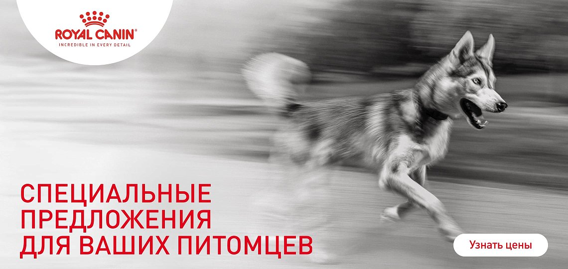 Зоотовары в интернет-магазине в Минске - купить товары для животных