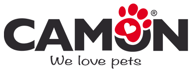 Camon (Италия)
