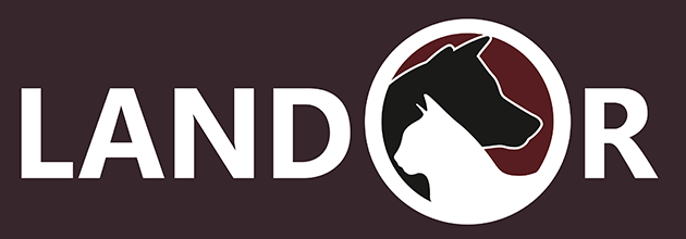 Landor (Германия, Испания)