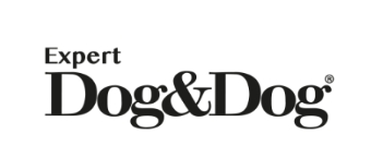 Dog&Dog (Италия)